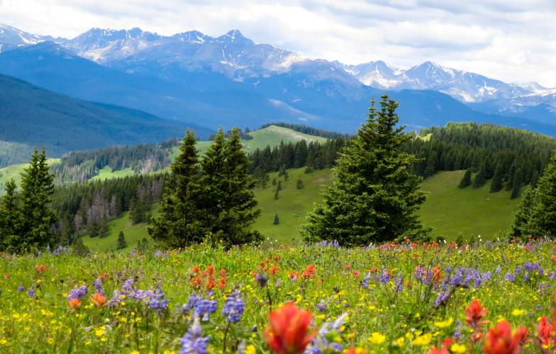 President's Blog: Nature