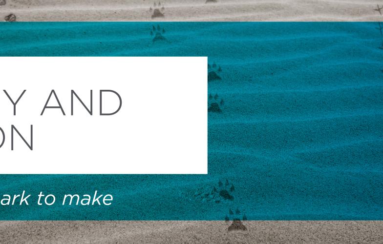 Diversity and Inclusion