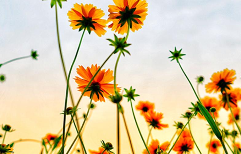 Truth and Reconciliation 