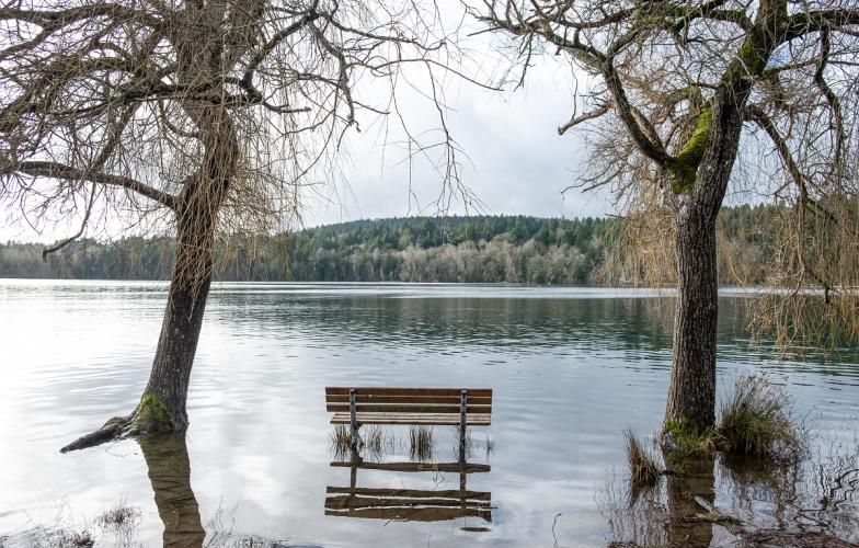 Flooded park in Victoria BC