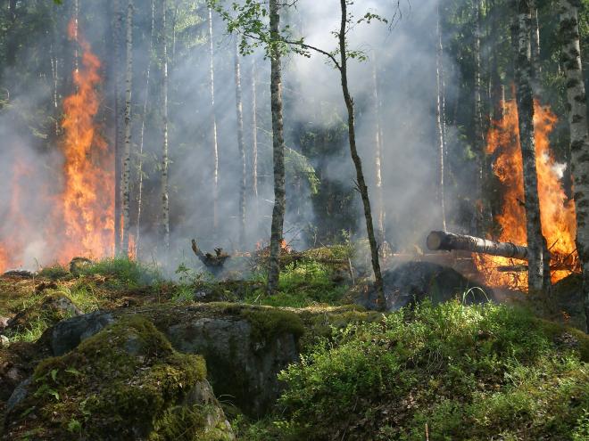 Climate Change is a Major Healthcare Issue
