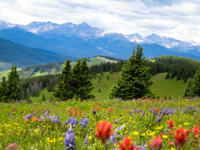 President's Blog: Nature