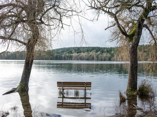 Flooded park in Victoria BC