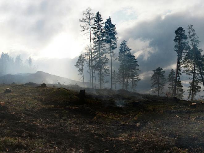 climate_change_wildfire_smoke.jpg