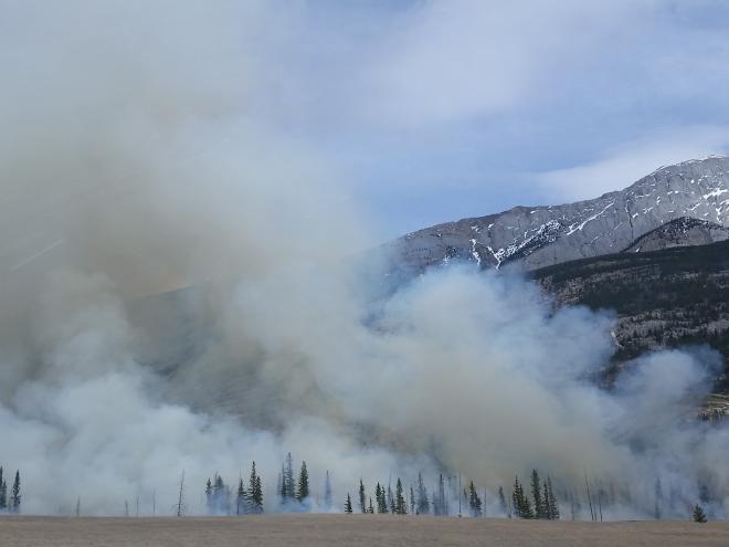 t4h_-_wildfire-_stock_photo.jpg