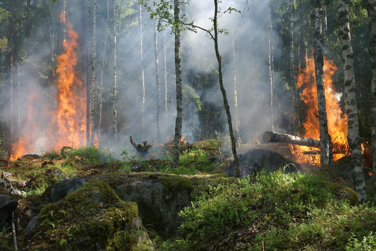 Climate Change is a Major Healthcare Issue