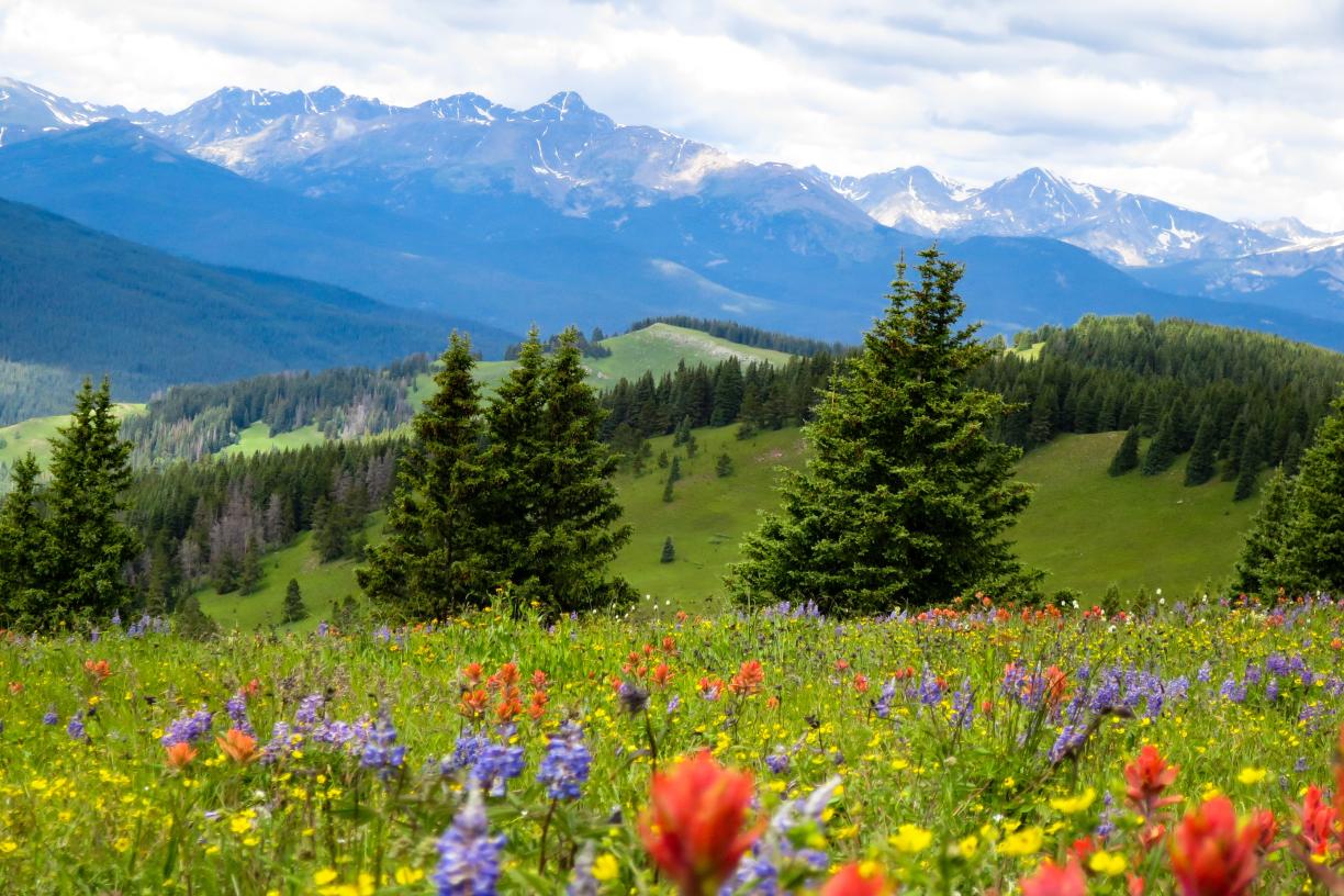 President's Blog: Nature