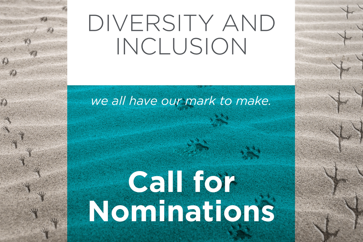 Call for nominations - Diversity and Inclusion Advisory Group