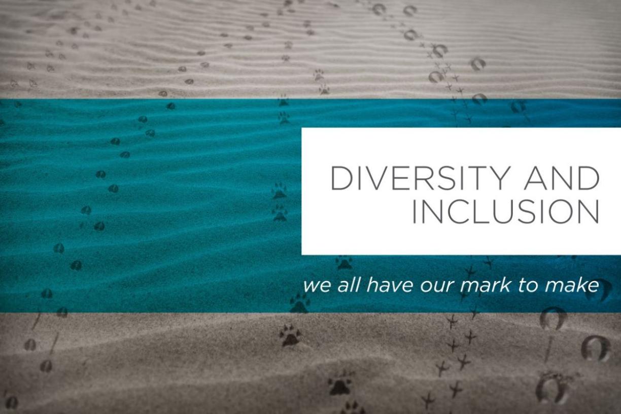 Diversity and Inclusion 