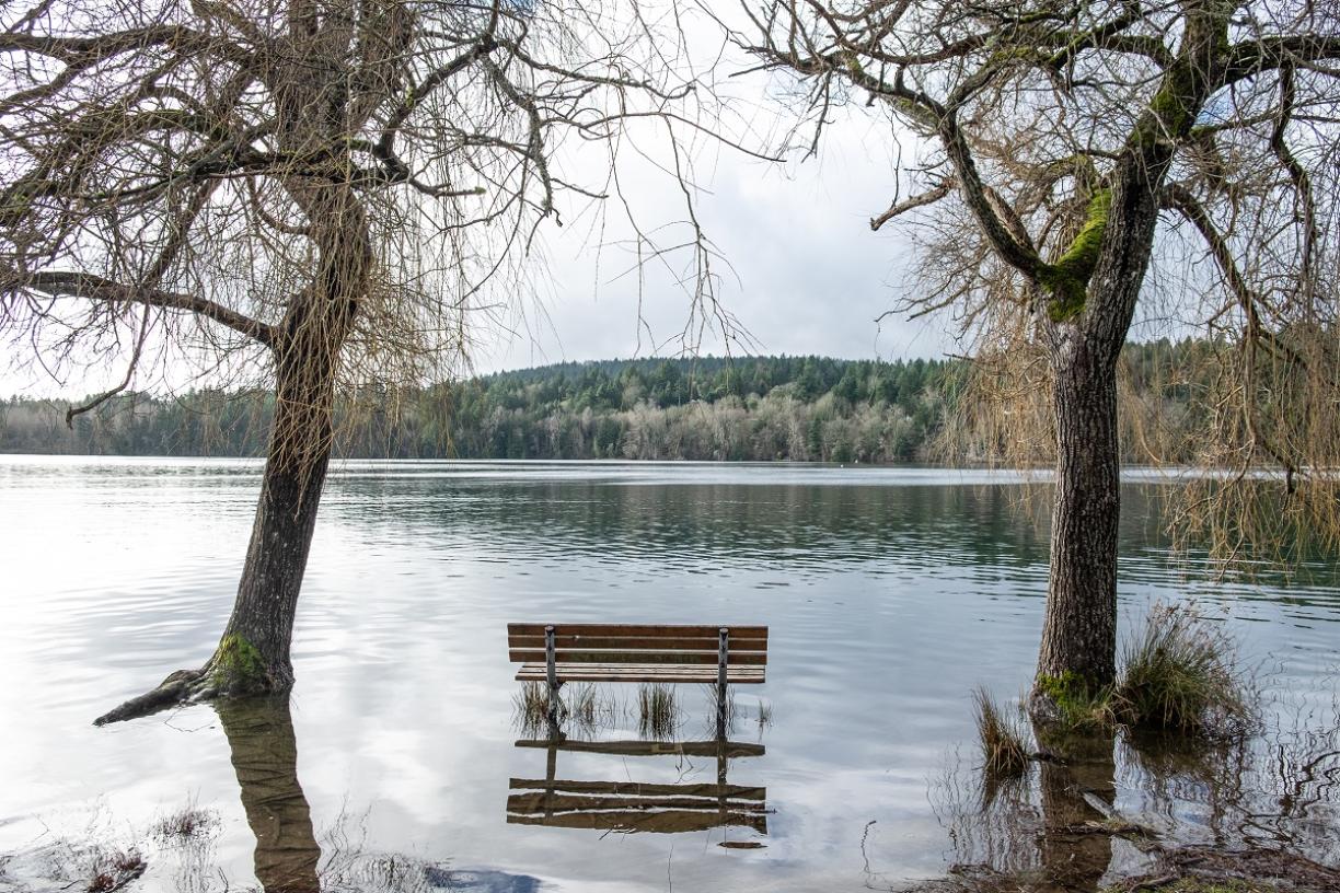 Flooded park in Victoria BC