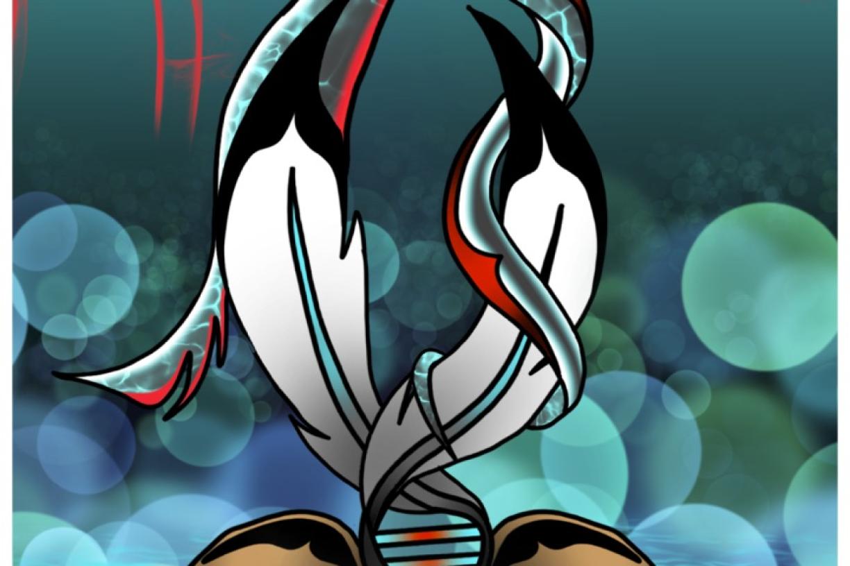 truthreconciliation_artwork.jpg