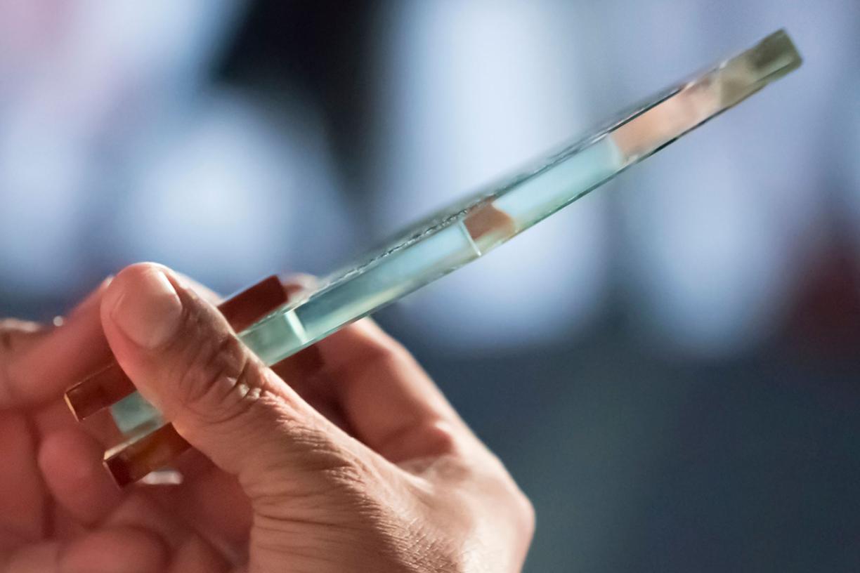 a hand holding a Doctors of BC award