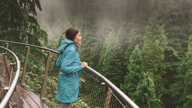 Person looking at the view of the forest.