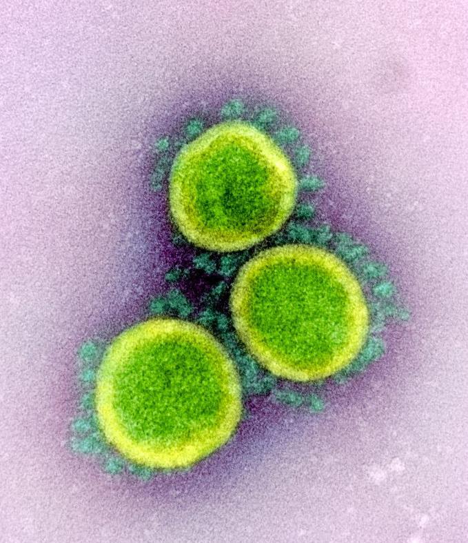 Novel%20Coronavirus%20SARS-CoV-2
