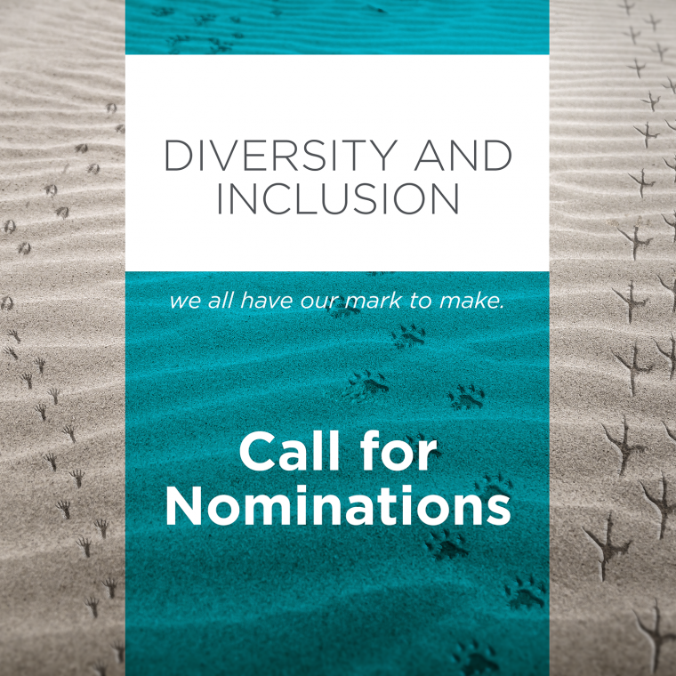 Call%20for%20nominations%20-%20Diversity%20and%20Inclusion%20Advisory%20Group