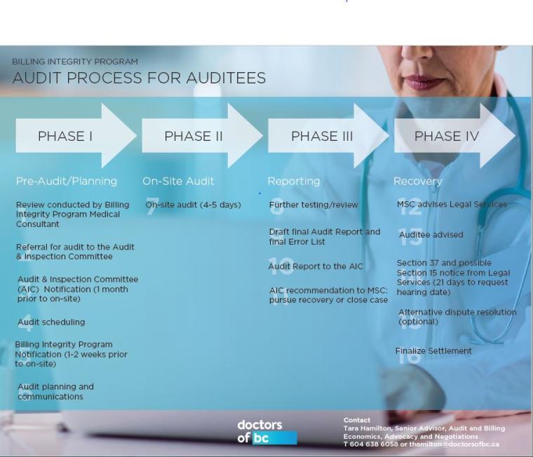 The audit process The audit process